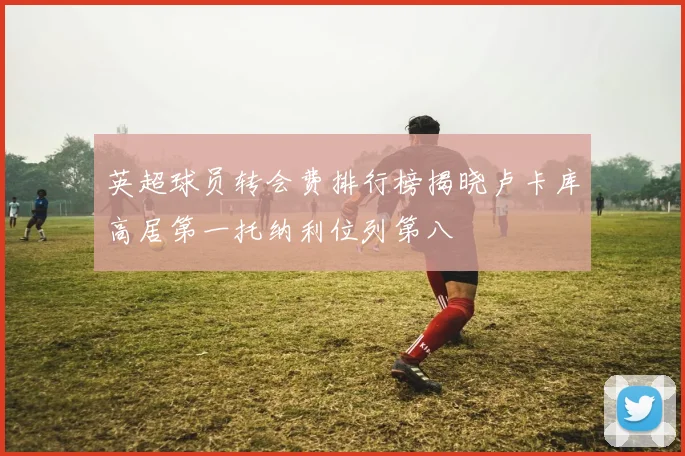 英超球员转会费排行榜揭晓卢卡库高居第一托纳利位列第八