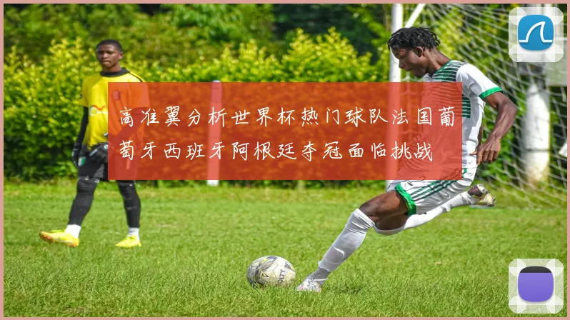 高准翼分析世界杯热门球队法国葡萄牙西班牙阿根廷夺冠面临挑战