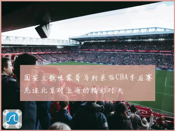国安主教练蒙哥马利亲临CBA季后赛见证北京对上海的精彩对决