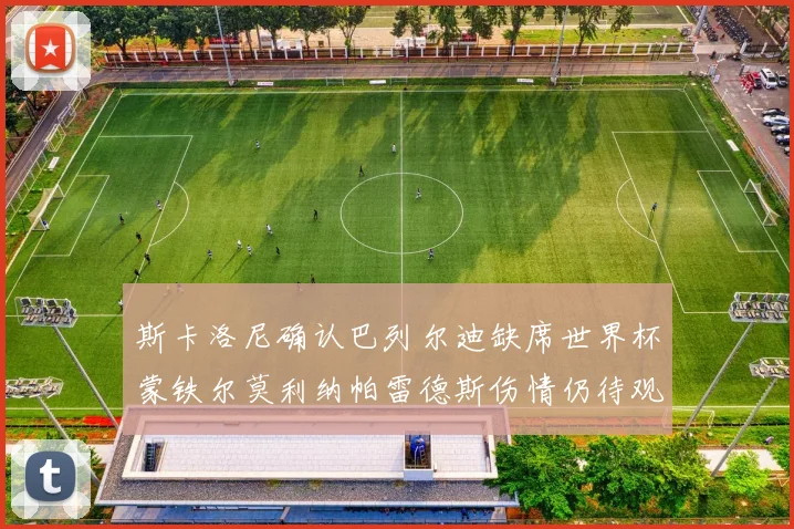斯卡洛尼确认巴列尔迪缺席世界杯蒙铁尔莫利纳帕雷德斯伤情仍待观察